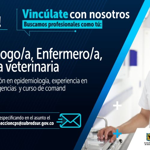 Vacante 4 - 22 de Agosto 2024