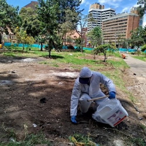 Distrito avanza en el control de roedores e insectos en el Parque Nacional ​​