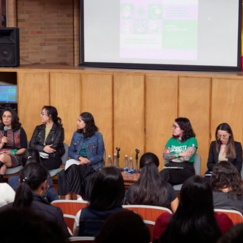 Con un llamado a la garantía de los derechos de las mujeres, Bogotá conmemora el Día de Acción Global por el acceso a la IVE​​