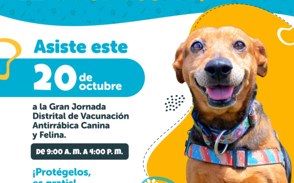 La ciudad realizará la Jornada Distrital de Vacunación Antirrábica Canina y Felina este domingo