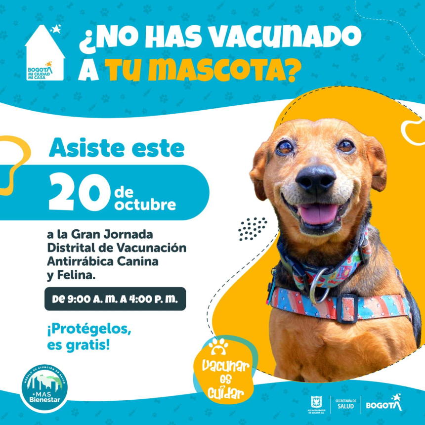 La ciudad realizará la Jornada Distrital de Vacunación Antirrábica Canina y Felina este domingo