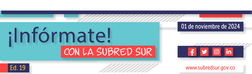 Infórmate con la Subred Sur Ed. 19