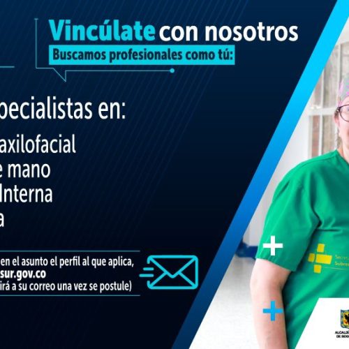 Vacante 1 - 1 de Noviembre 2024