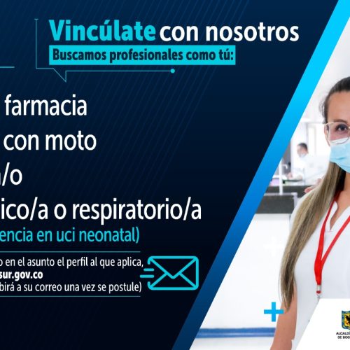 Vacante 8 Noviembre 2024