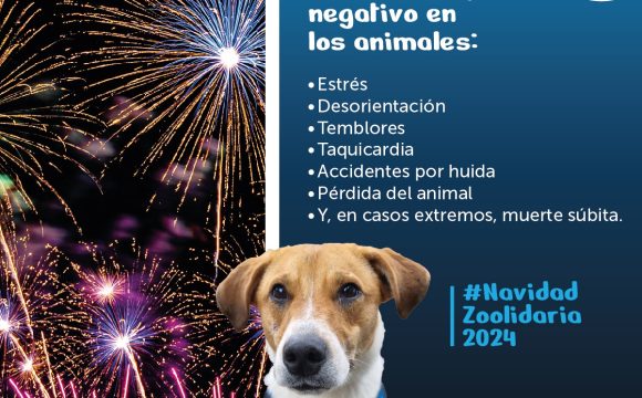 De noviembre de 2022 a noviembre de 2024, la ciudadanía reportó más de 1.900 animales presuntamente afectados por la pólvora durante las fiestas decembrinas