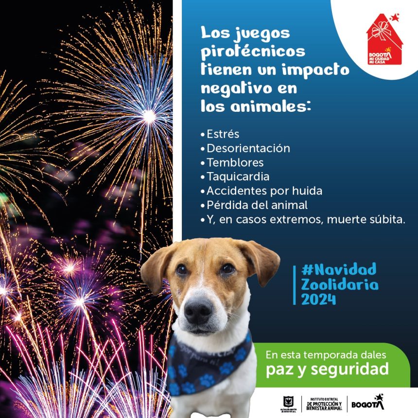 De noviembre de 2022 a noviembre de 2024, la ciudadanía reportó más de 1.900 animales presuntamente afectados por la pólvora durante las fiestas decembrinas